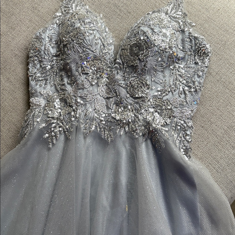 Elegant Silver Embellished Dress